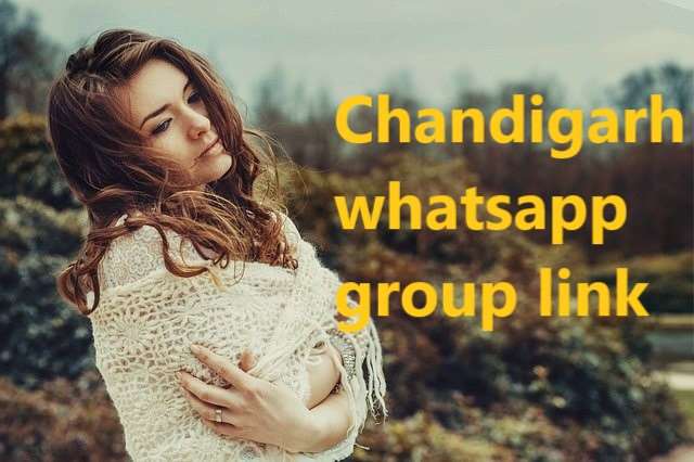 Chandigarh whatsapp group link